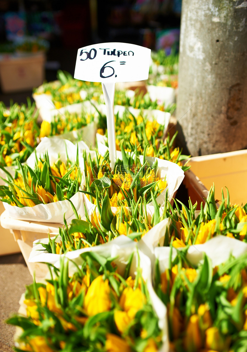 阿姆斯特丹花卉市场销售季节性郁金香花店花园价格花束植物植物群店铺图片