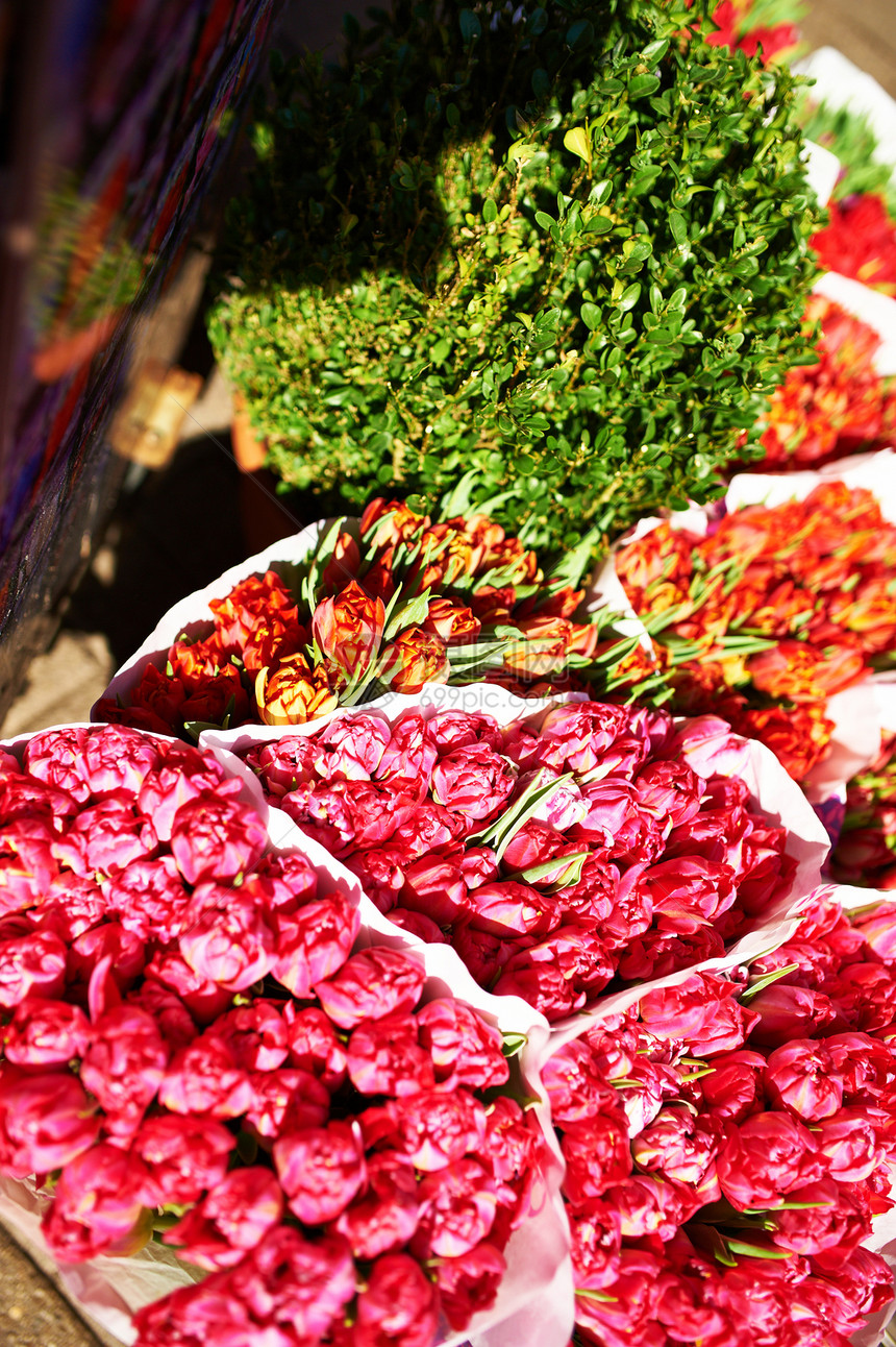 阿姆斯特丹花卉市场销售郁金香植物群价格季节性花店花束绿色店铺零售图片