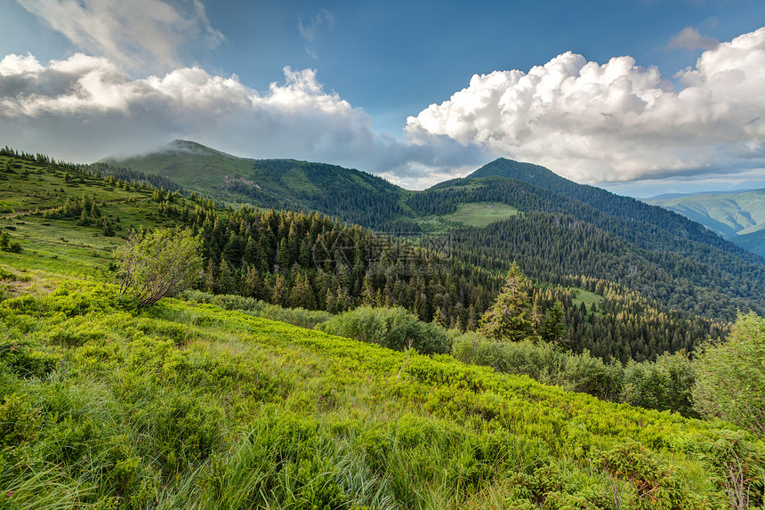 喀尔巴山山脉顶峰场景旅行森林蓝色石头云杉高地公园爬坡图片