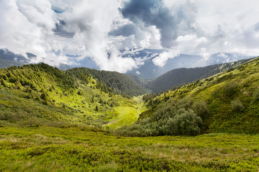 喀尔巴山山脉场景地块石头森林爬坡公园蓝色环境云杉松树图片