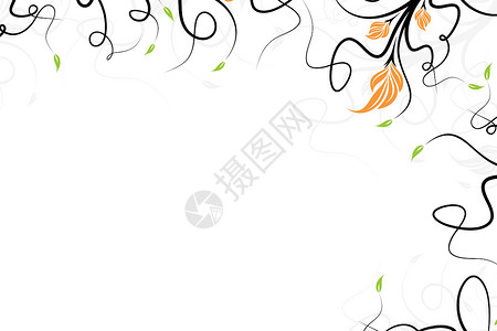 矢量花卉背景插图曲线叶子漩涡滚动植物背景图片