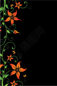 花卉背景叶子蝴蝶插图植物绘画装饰品创造力背景图片