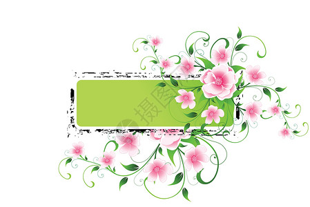 花卉背景植物装饰品绘画叶子广告创造力插图背景图片
