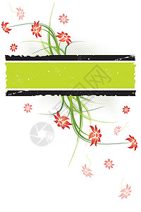 花卉背景广告叶子植物插图装饰品创造力背景图片