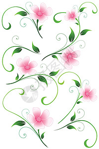 植物矢量设计元件滚动创造力绿色插图绘画叶子背景图片