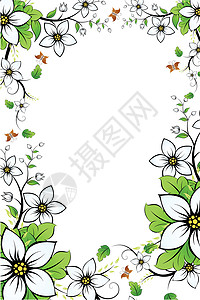 鲜花框架漩涡标语蝴蝶插图作品叶子滚动创造力白色横幅背景图片