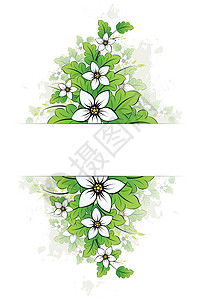 Grunge 花层背景绘画绿色插图框架背景图片