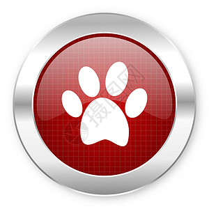 动物按钮素材动物足迹图标圆圈小狗合金网络痕迹横幅宠物动物园打印食物背景