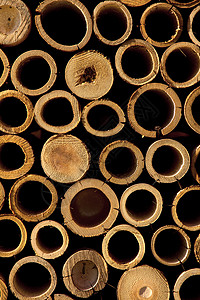 竹切的堆叠树木热带花园管道水平竹子植物背景图片