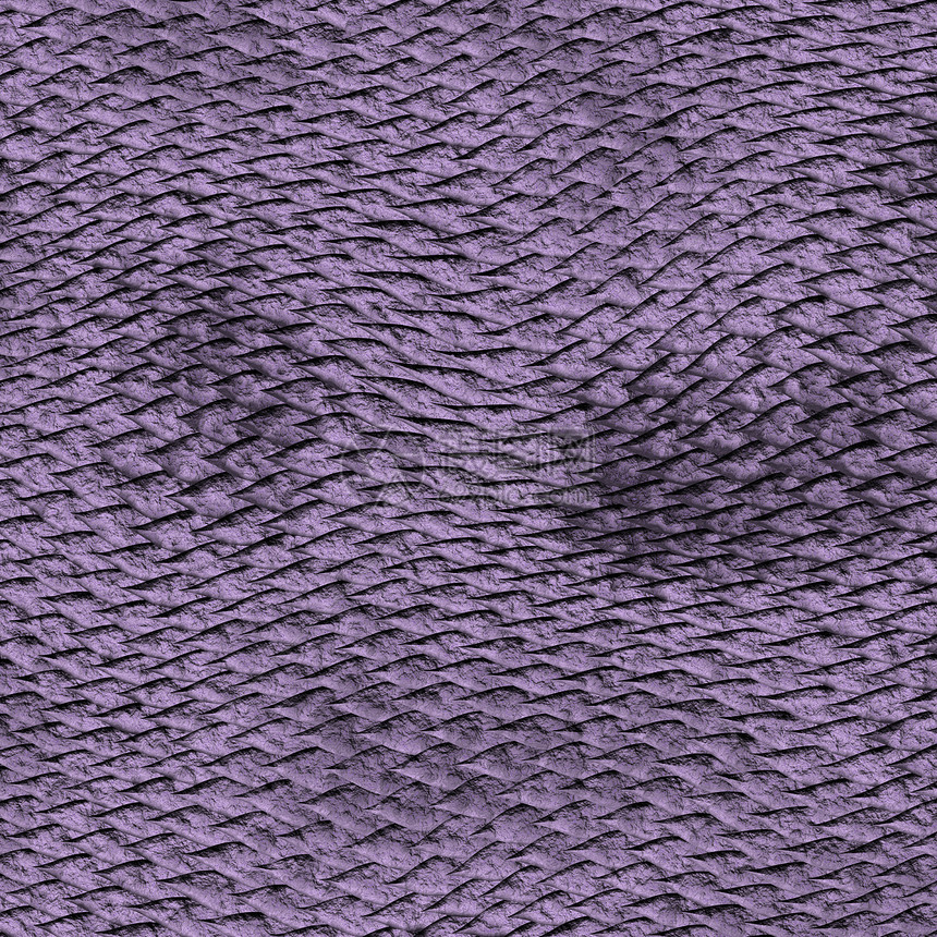 紫龙皮肤纹理图片
