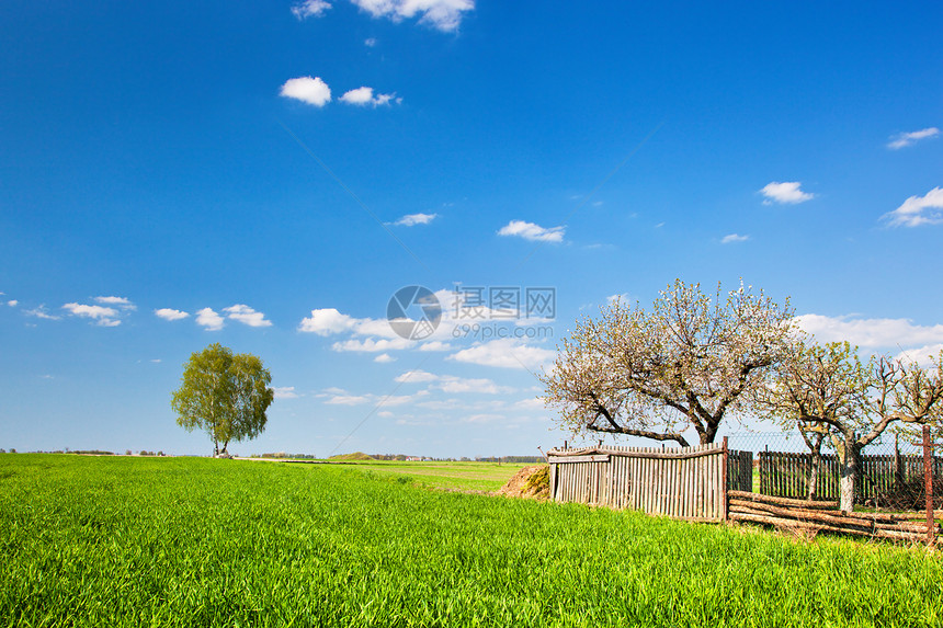 春春时的乡村地貌 有单独的树木和栅栏图片