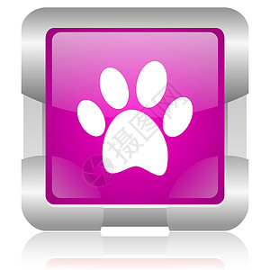 脚印图标粉红色平方网络光亮的图标正方形动物宠物食物按钮紫色网站动物园荒野生态背景