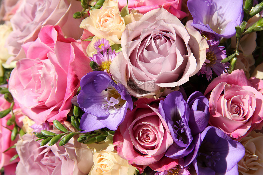 粉色和紫色婚礼花束花店植物婚姻绿色玫瑰新娘装饰品植物学花朵植物群图片