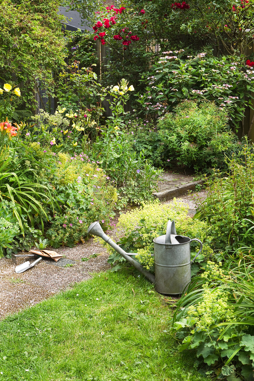 夏季上午的园艺工作院子后院太阳杯炼金术石头杂草夏园植物种植落日图片