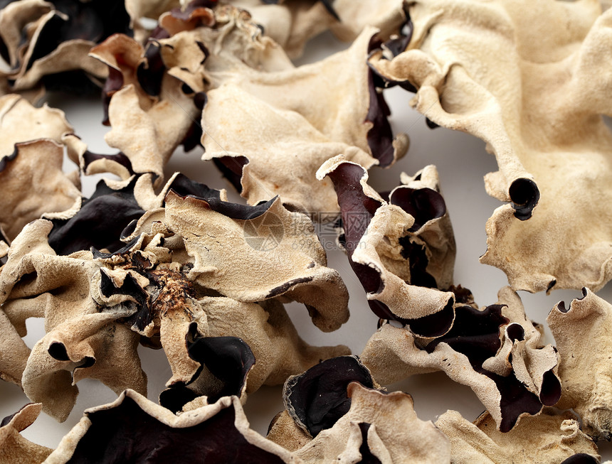 黑真菌营养植物美食黑色耳朵饮食药品图片
