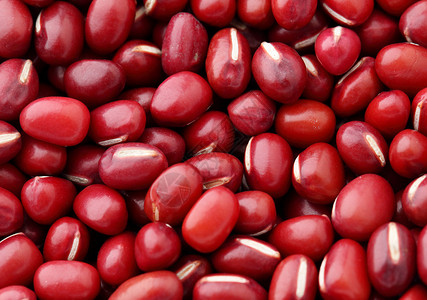 Adzuki 红豆快关门了豆类种子核心小豆营养红色植物美食食物农业背景图片