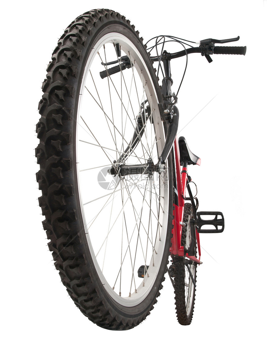 山地自行车踏板红色白色骑术闲暇黑色齿轮车辆运动车轮图片