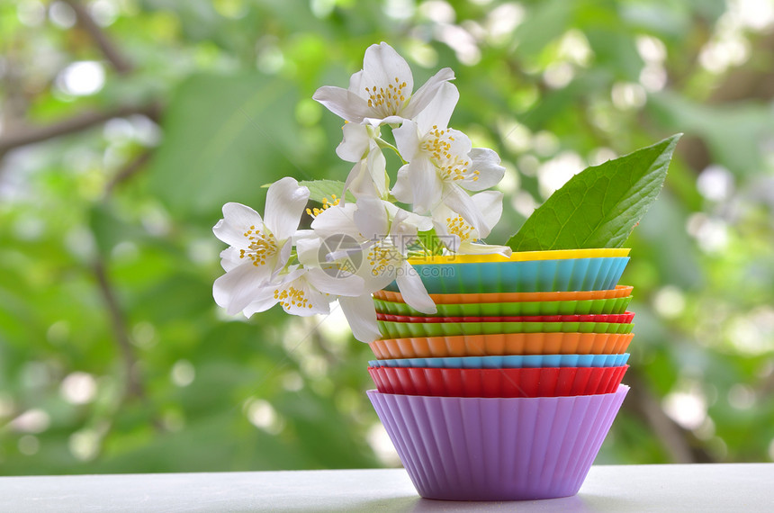 含有白茉莉花的松饼种类窗户植物花束植物学芳香脆弱性茉莉花植物群茉莉叶子图片