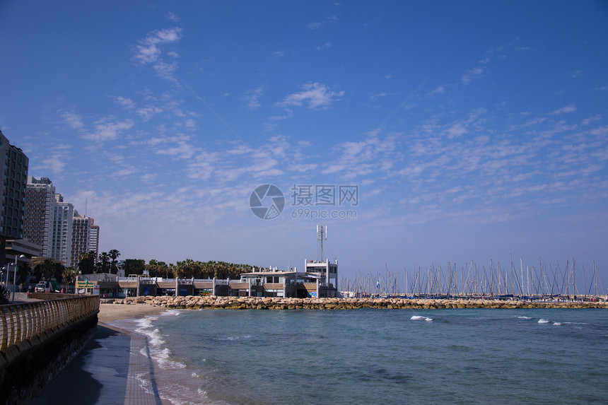 特拉维夫海滩天空边缘植物叶子地平线场景热带遮阳棚阳光蓝色图片