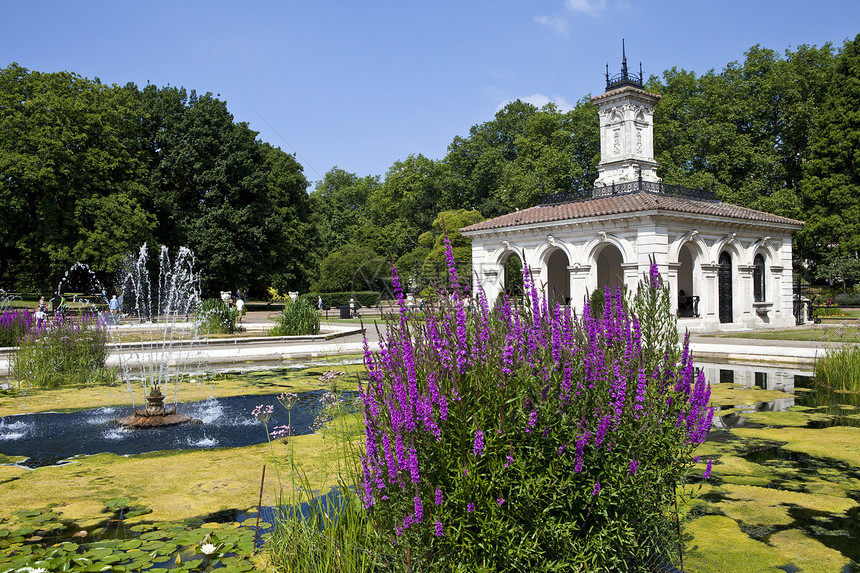 伦敦肯辛顿花园旅行公园观光花园花朵绿色植物英语绿色建筑学树木图片