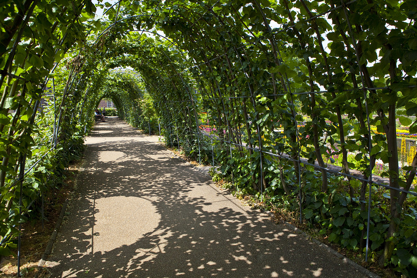 伦敦肯辛顿花园花朵池塘观光历史建筑学旅行旅游城市花园树篱图片