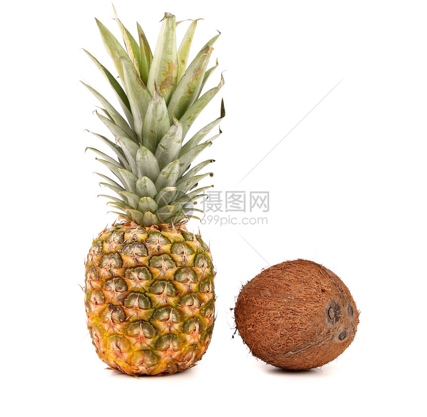 菠萝 椰子图片