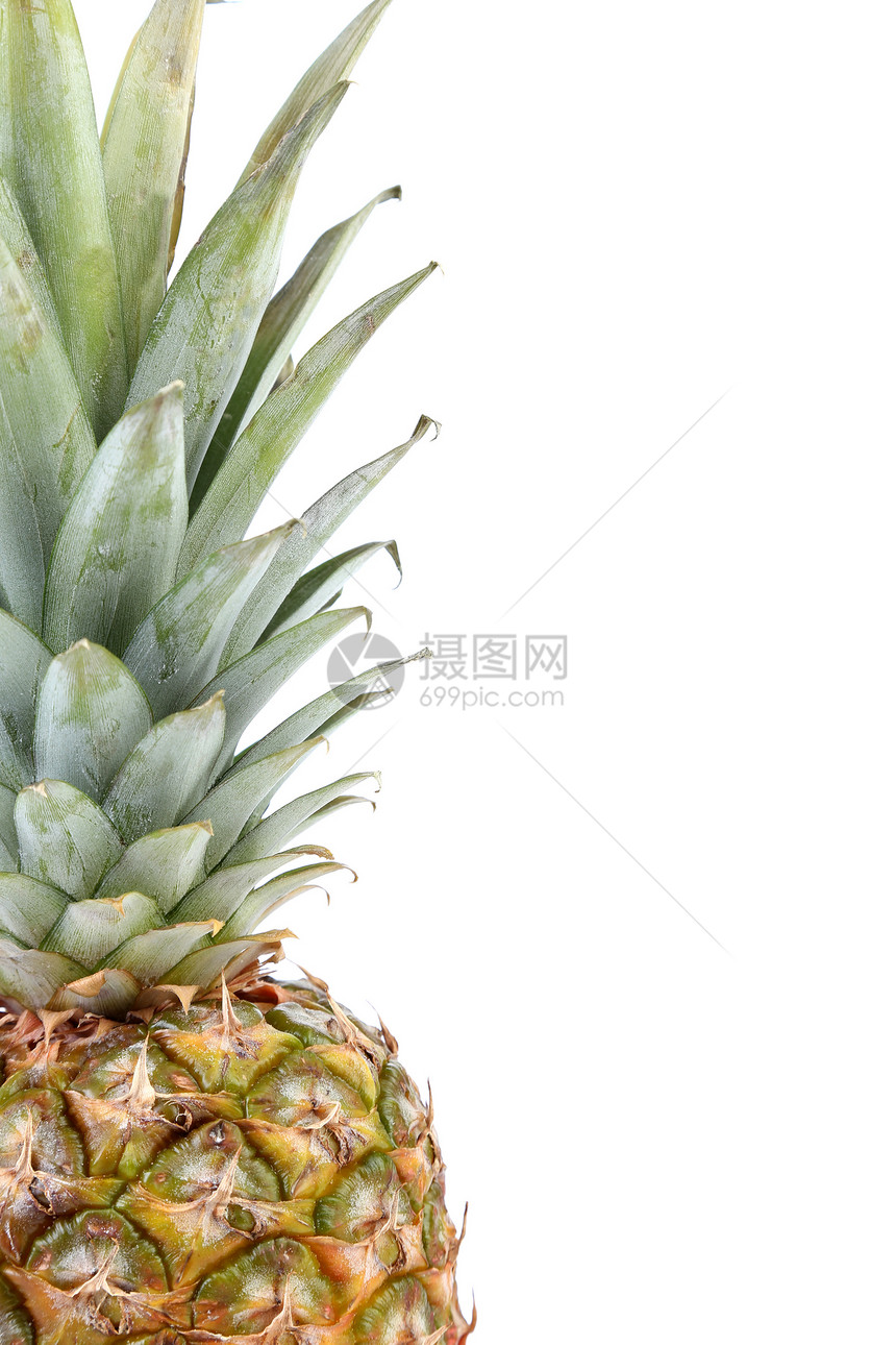 白色背景上孤立的新鲜菠萝植物水果热带叶子果汁食物绿色美食香味框架图片