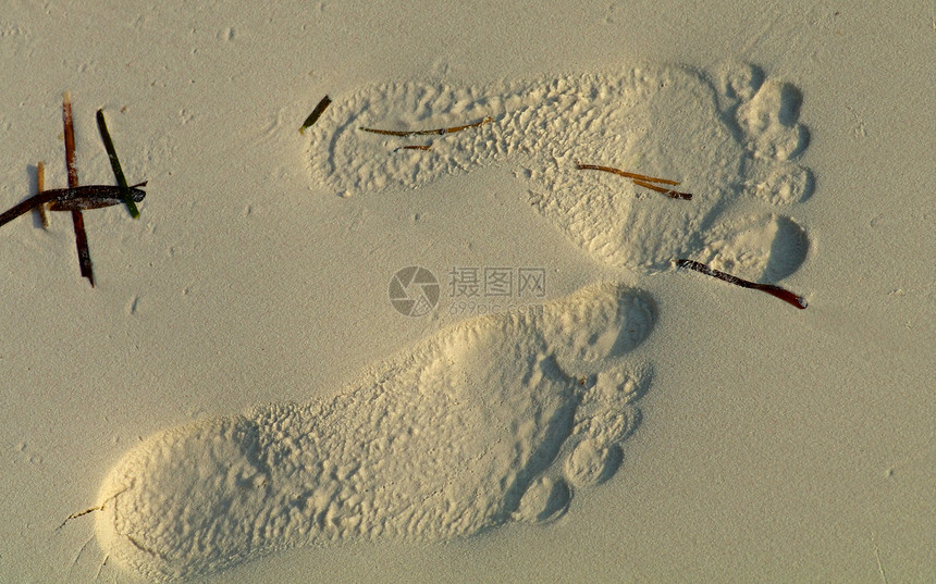 沙沙上的脚印对比度海滩沉思褐色海岸线假期海景自由想法概念图片