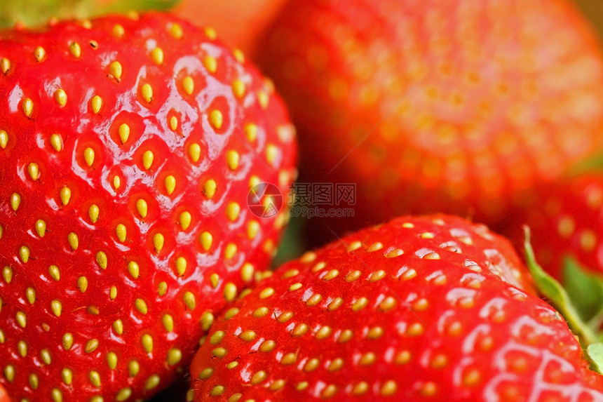 美味的红草莓茶点生态水果宏观小吃热情早餐浆果食物甜点图片