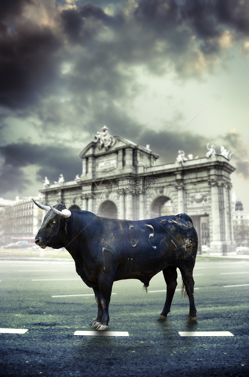 阿尔卡拉门的疯狂 斗牛的概念 公牛 西班牙图片