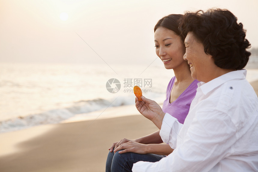 外祖母和外孙女看西壳家庭摄影海洋休闲旅行活动老年人脸目的地妇女图片