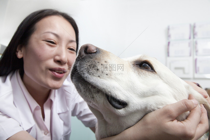 兽医办公室的狗医生棕色微笑女性医疗宠物检查主人医院职业图片