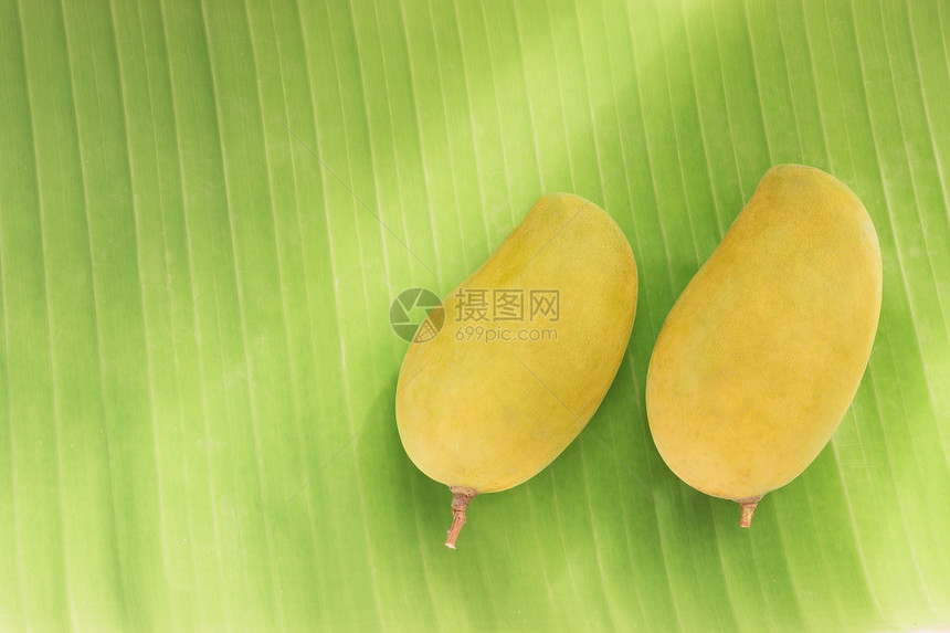 成熟的芒果饮食黄色食物热带叶子水果图片