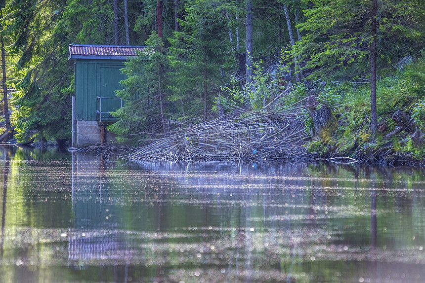 在五海的河流中 海狸小屋图片