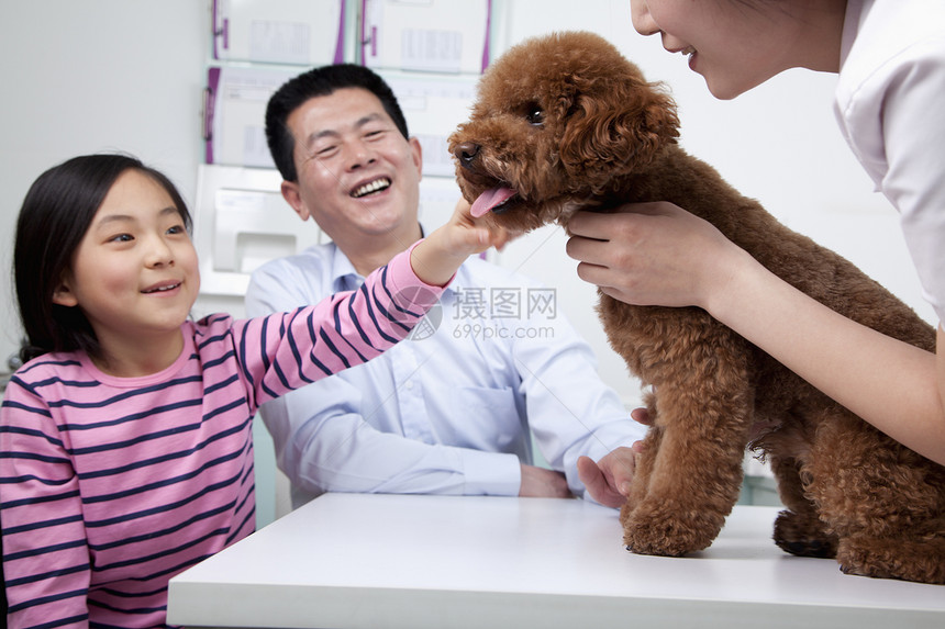 兽医办公室内带宠物狗的女子和少女保健职业宠物诊所摄影医生主题医院微笑休闲图片