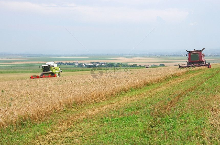 收获时间机器大麦场地技术谷物收成农业农场土地机械图片