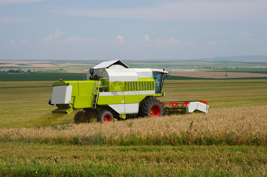 组合收割器场地工作机械大麦生长土地农田食物国家玉米图片