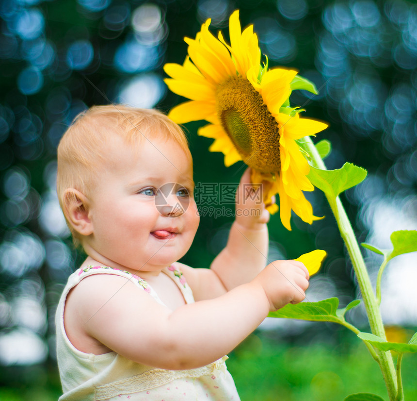 向日葵种子生活男生孩子草地场地喜悦婴儿植物学童年图片