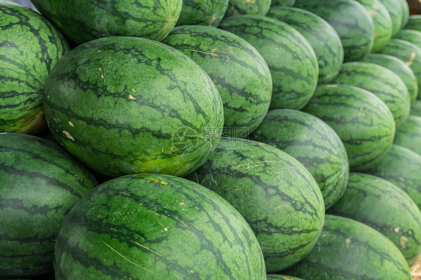 西瓜种子小吃食物水果框架太阳农业图片