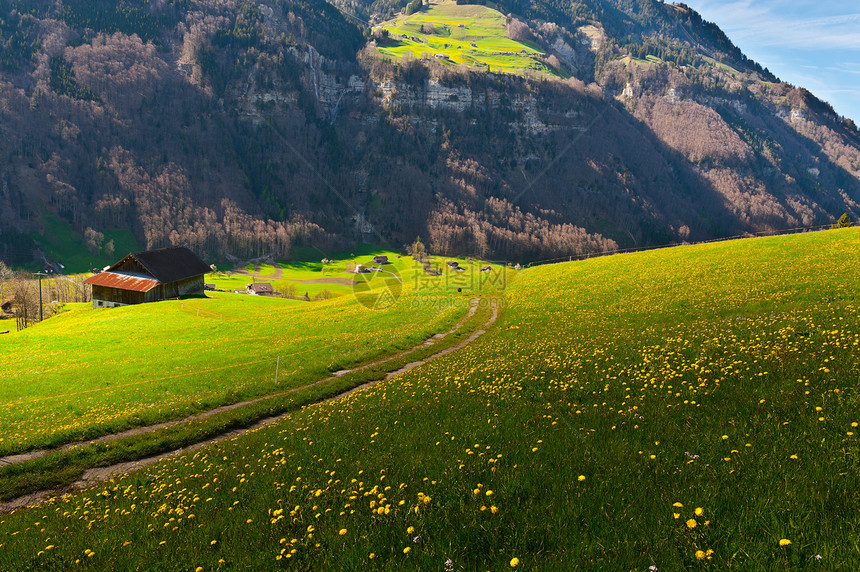 阿尔卑斯山高地场地国家地面岩石栽培爬坡农场房子峡谷森林图片