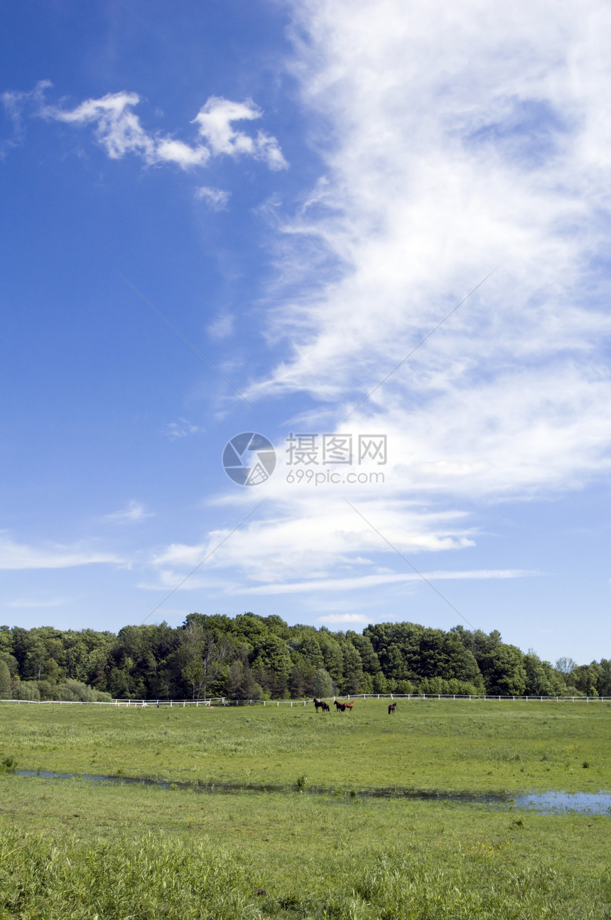 蓝蓝天空绿色场地风景旅行蓝色农场晴天假期森林爬坡图片