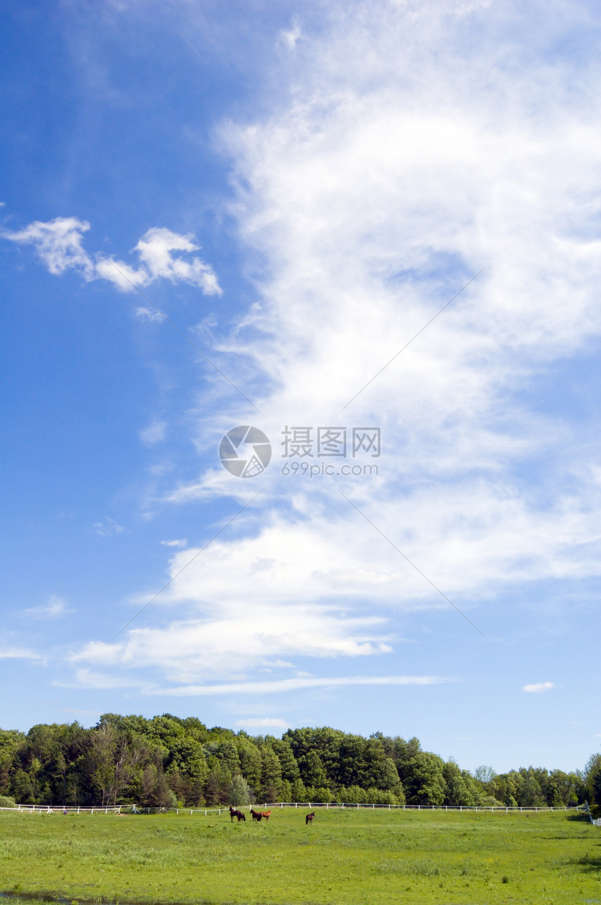 蓝蓝天空旅行乡村爬坡风景农场草地森林场地蓝色绿色图片