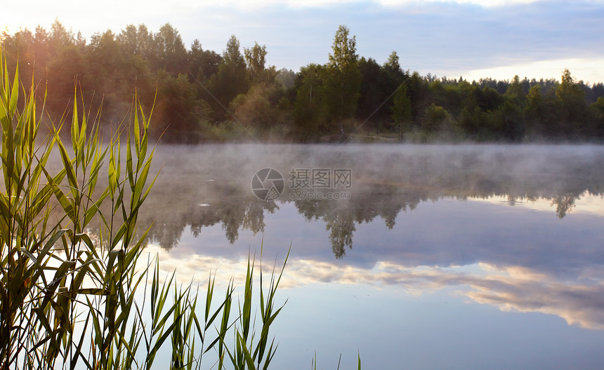 湖边的雾闲暇植物海岸线天空环境池塘涟漪生态孤独液体图片