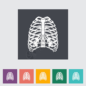 胸部图标人类胸腔的图标插图科学身体卫生生物学生活药品胸骨解剖学保健设计图片