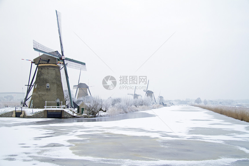 来自荷兰农村的Traditonal风力车地标树木风景小孩风车历史性堤防历史房子图片