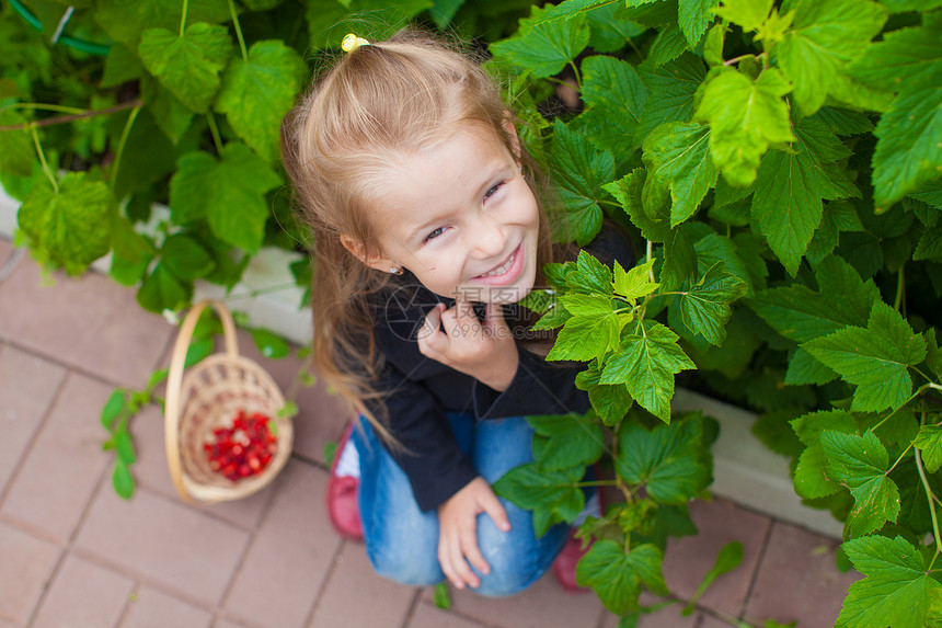 花园里可爱小女孩的肖像 还有一篮子浆果图片
