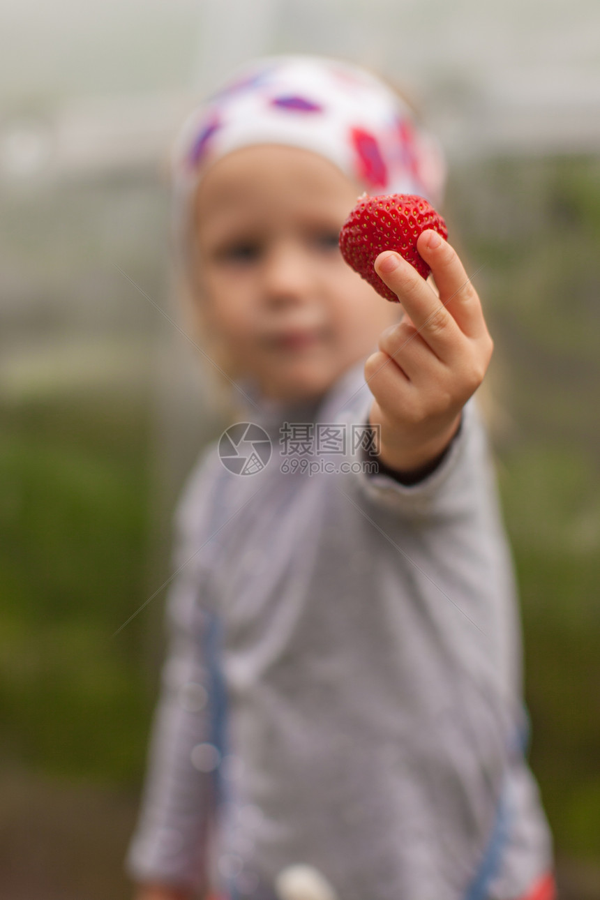 一个小女孩手里的草莓紧贴着一个小女孩的手图片