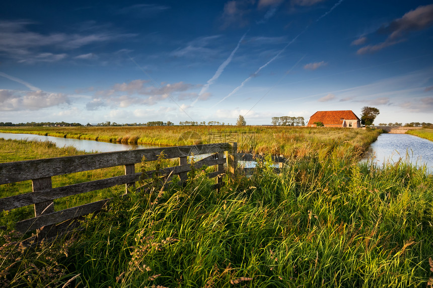 荷兰农田的围栏和农舍图片