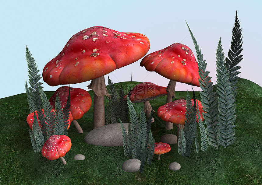 拖脚凳林地森林植物童话插图红色蘑菇危险伞菌草地图片