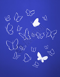 白色圆光影飞翔的蝴蝶背景材料团体飞行墙纸背景图片